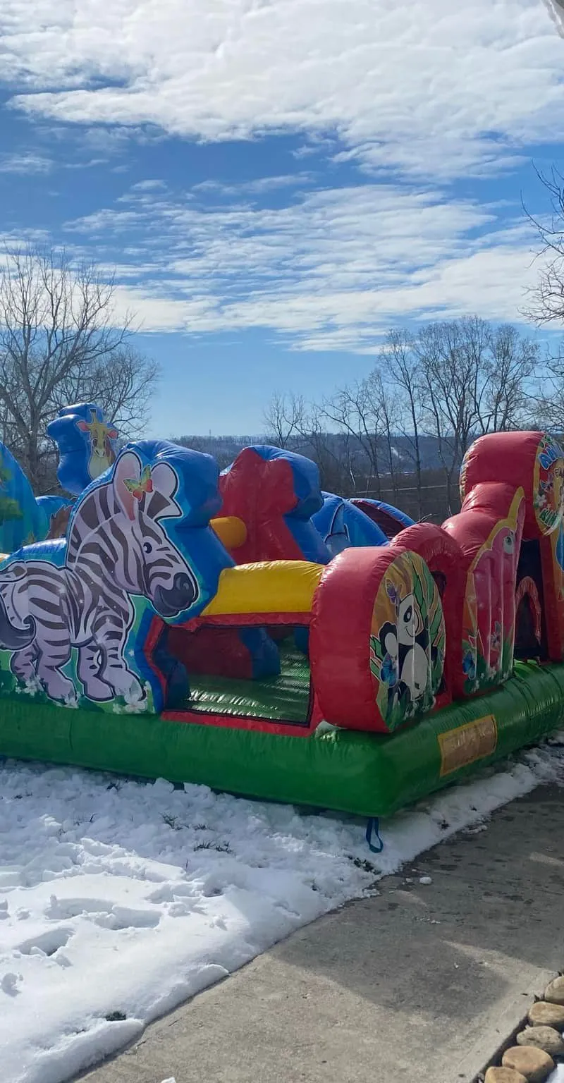 Animal Kingdom Bounce House