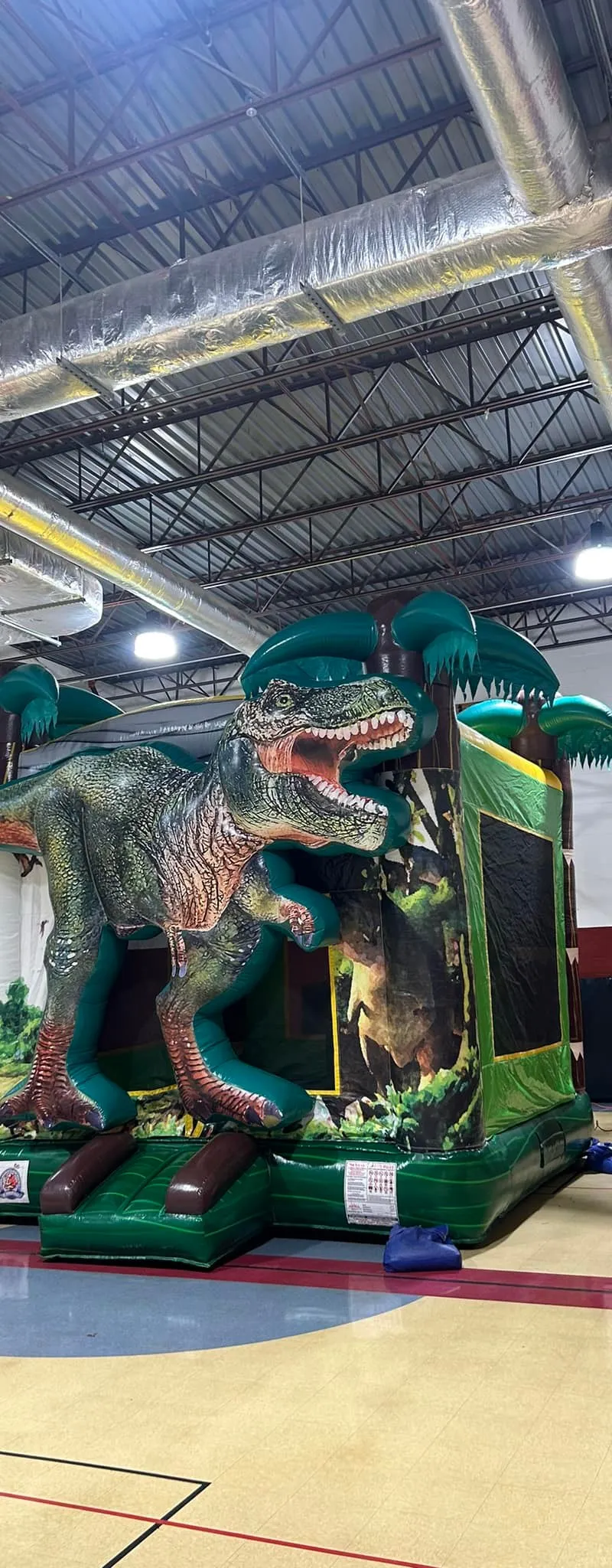 Dinosaur Themed Bounce House